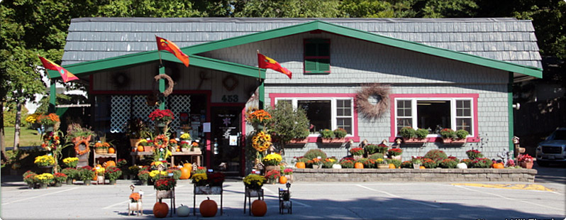 Bangor Maine Florist, Flower Shop, Floral Arrangement
