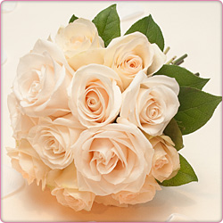 Photo by Bell Imaging